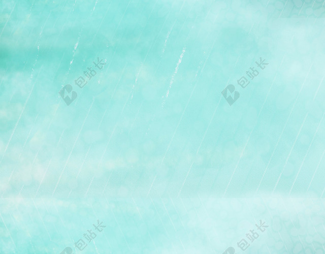 谷雨两只可爱小鸟传统节日二十四节气绿色背景海报