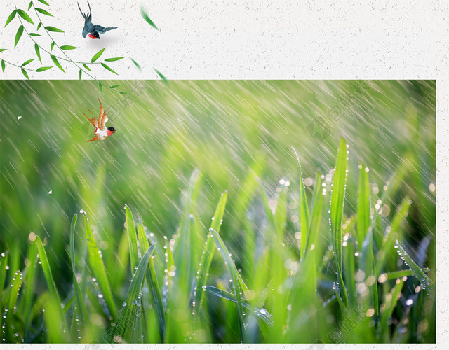 谷雨传统节日二十四节气可爱的小燕子绿色背景海报