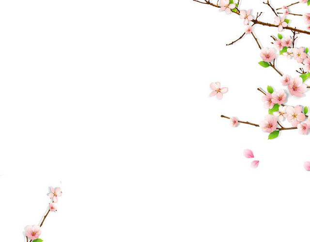 简约桃花手绘边框