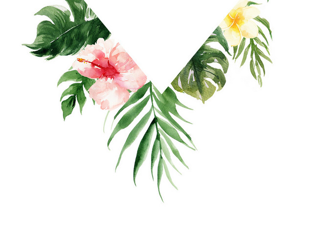 夏天边框水彩花朵春天唯美树叶边框素材