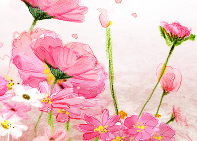 手绘插画花朵春天鲜花花卉