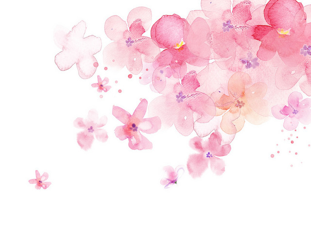 手绘插画花朵春天鲜花花卉
