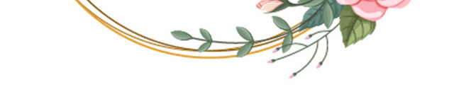 手绘插画花朵春天鲜花花卉