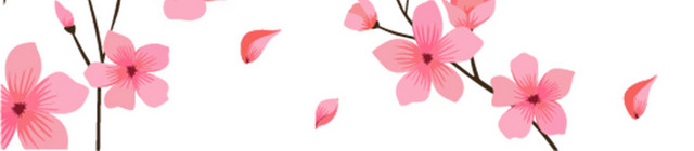 手绘插画花朵春天鲜花花卉
