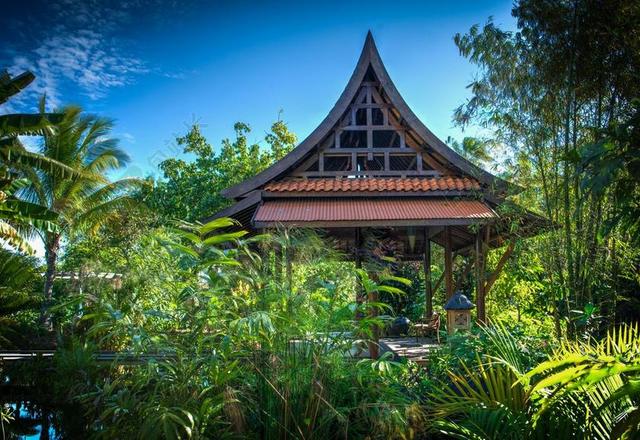 那不勒斯植物园 东方 寺 花园 棕榈树 亚洲 文化 自然