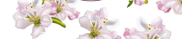 WEDDING INVITATION FLORAL VECT