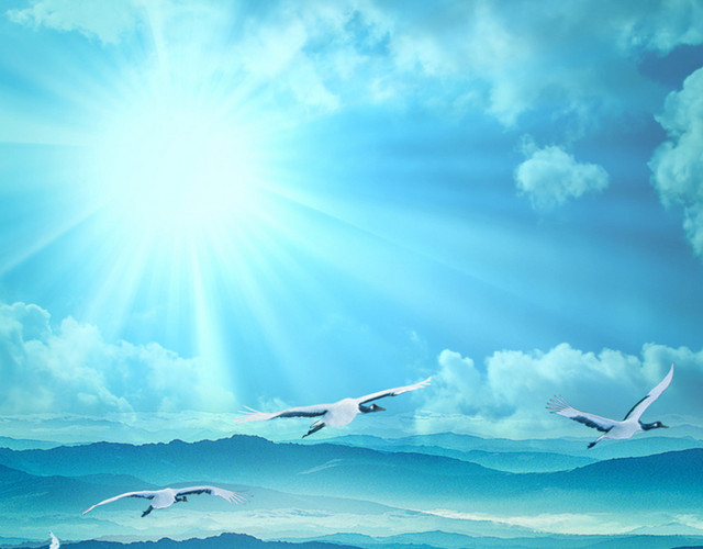 清新唯美阳光太阳仙鹤天空蓝天白云元素