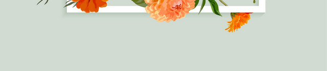 春季唯美花卉矢量素材