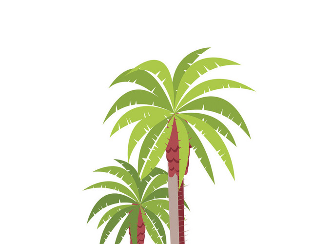 椰子树热带植物矢量素材