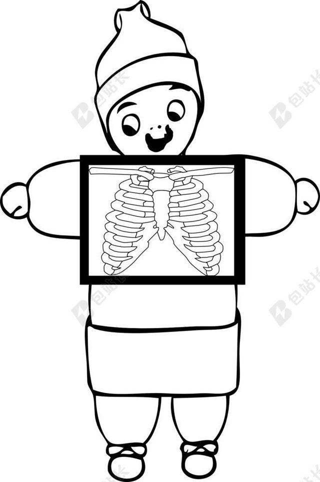 XRAY 胸部 兽皮 躯干