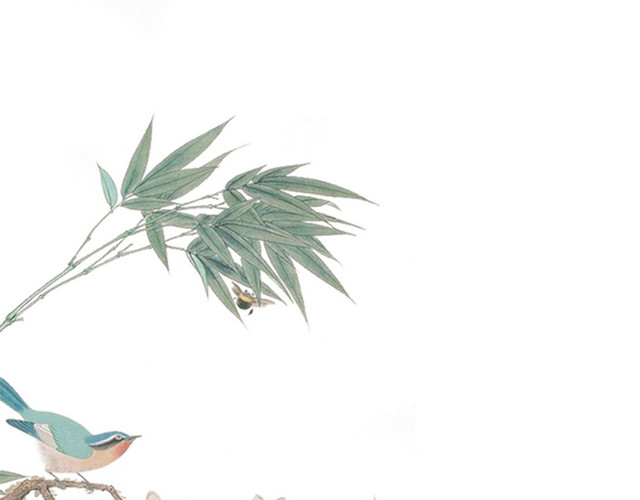 小鸟树枝透明元素PSD素材