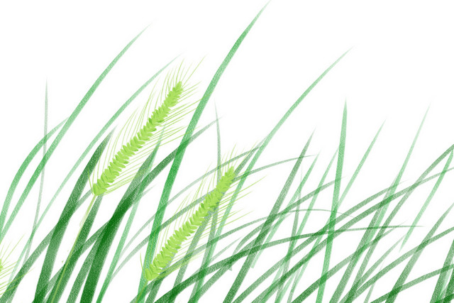 春天春季水草树叶植物PNG素材