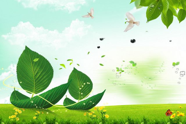 环保世界卫生日低碳生活绿色植物植树造林