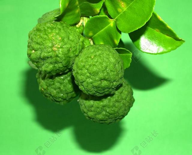 佛手柑 水果 叶 孤立 泰国 粗 柠檬 自然 热带 绿色