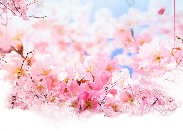 蓝天小清新十里桃花春游踏青桃花节旅游宣传海报背景