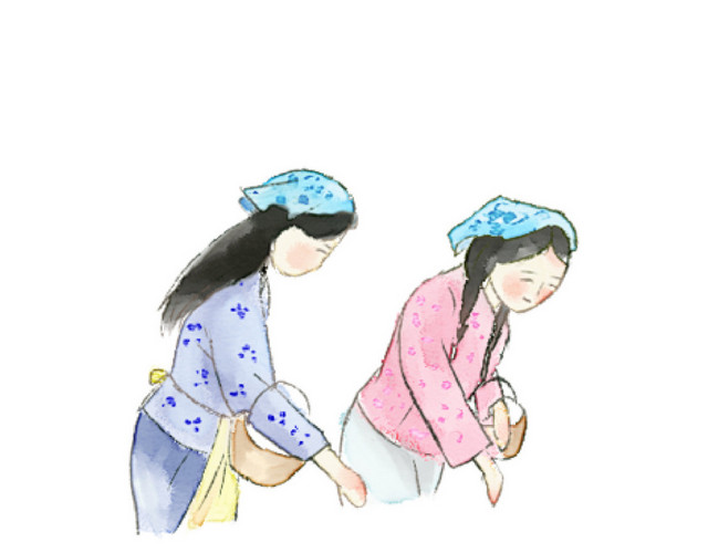 江南采茶女素材