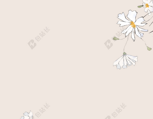 简约手绘花朵小满二十四节气传统肉色海报背景