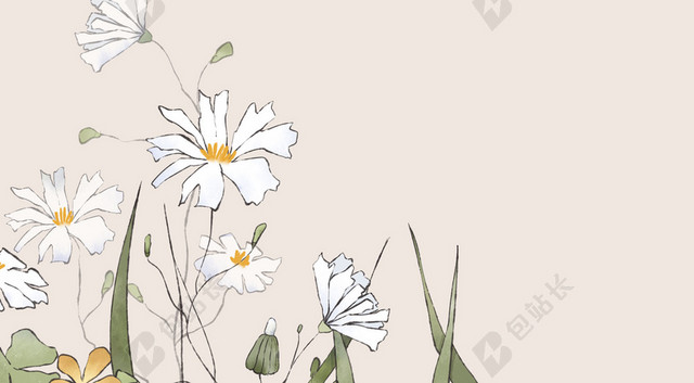简约手绘花朵小满二十四节气传统肉色海报背景