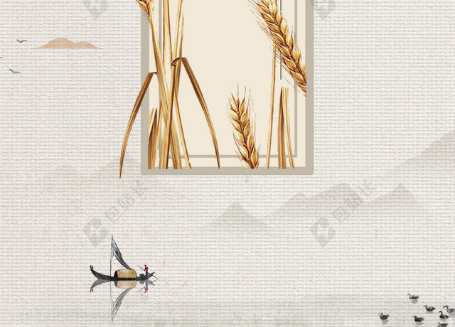 成熟小麦边框小满二十四节气传统灰色海报背景