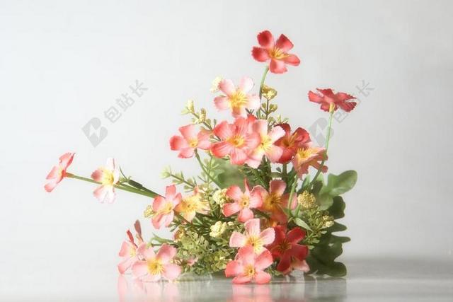 摄影清新静物花卉背景图片