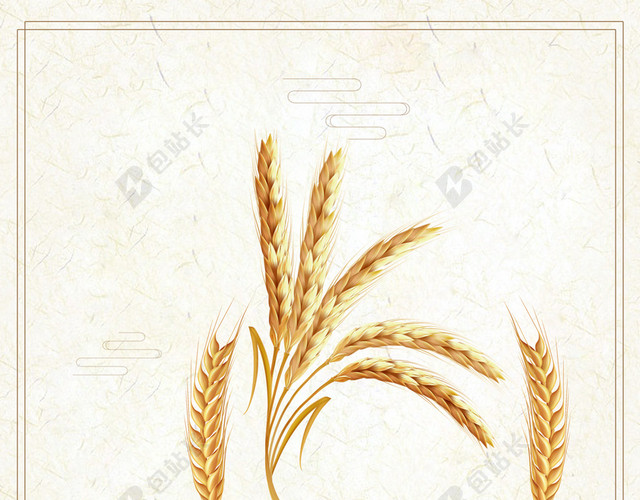 简单清新金色麦穗小满二十四节气传统白色海报背景