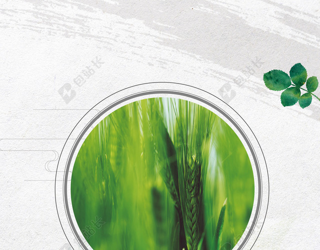 相框绿色麦穗小满二十四节气传统灰色海报背景
