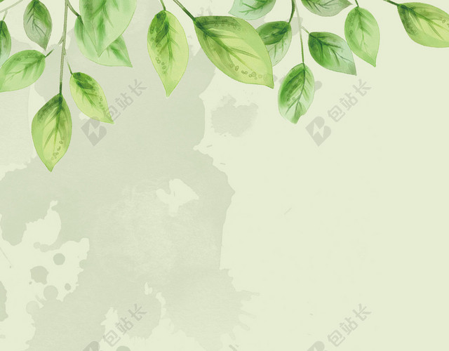 青翠树叶简约小满二十四节气传统绿色海报背景