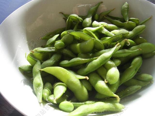 大豆 豆类 豆科植物 绿色 POD 黄豆 蔬菜 有机 蛋白