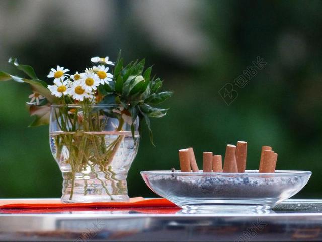 静物 花瓶 烟头 倾斜 吸烟 烟灰缸 表 对比 鲜花 玻璃