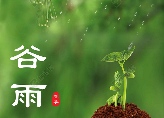 树叶风景谷雨二十四节气海报背景