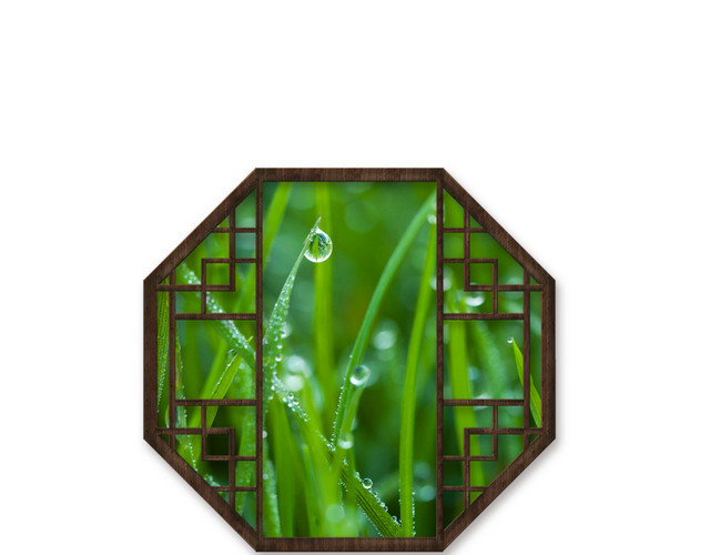 古风边框窗框春日景色叶片露珠露水PNG素材