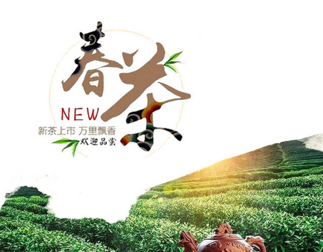 茶叶 茶文化春茶欢迎品茶PNG