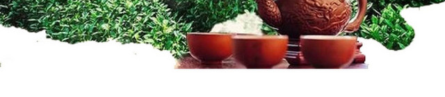 茶叶 茶文化春茶欢迎品茶PNG