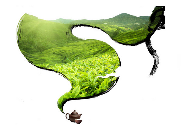 茶叶 茶文化春茶节素材PNG