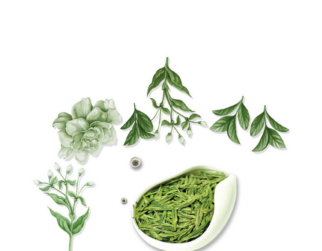 茶叶 茶文化绿茶叶绿色清新素材