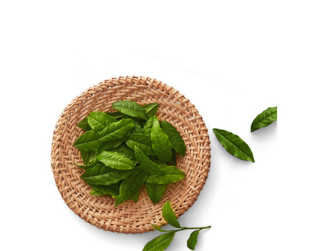 茶叶 茶文化杯子里的春茶素材