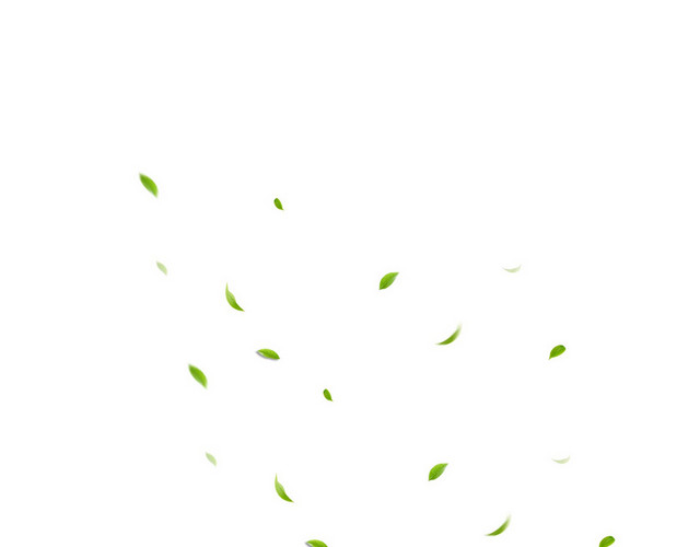 茶叶 茶文化绿色茶叶树叶漂浮素材