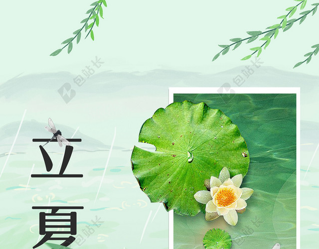 手绘蜻蜓和荷花立夏二十四节气传统节日绿色背景海报