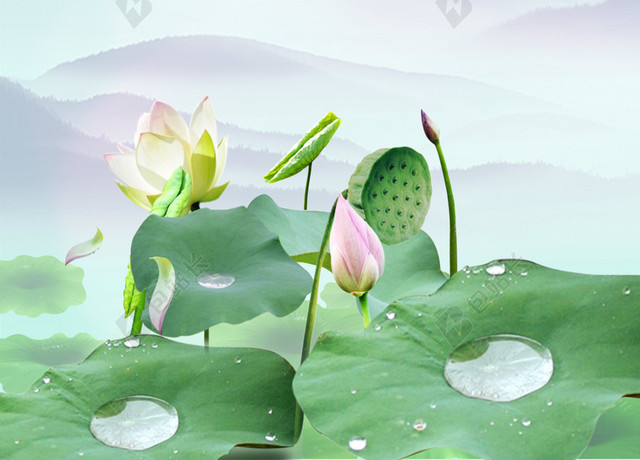 立夏露水荷花二十四节气传统节日绿色背景海报