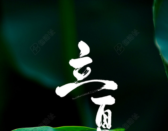立夏绿色荷叶二十四节气传统节日绿色背景海报