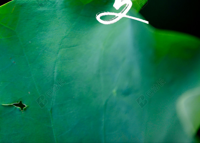 立夏绿色荷叶二十四节气传统节日绿色背景海报