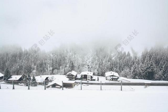 雪 村 冬天 冻结 天气 冷 霜 森林 树 冰 暴雪