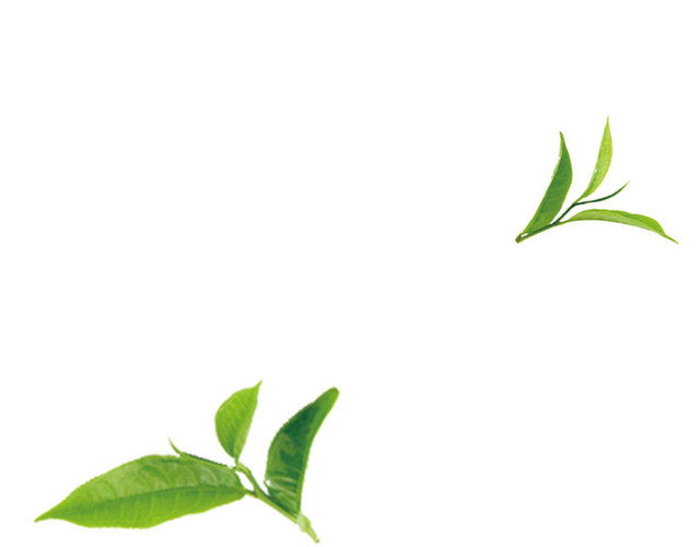 茶 茶文化小清新茶叶元素商务海报背景PSD素材