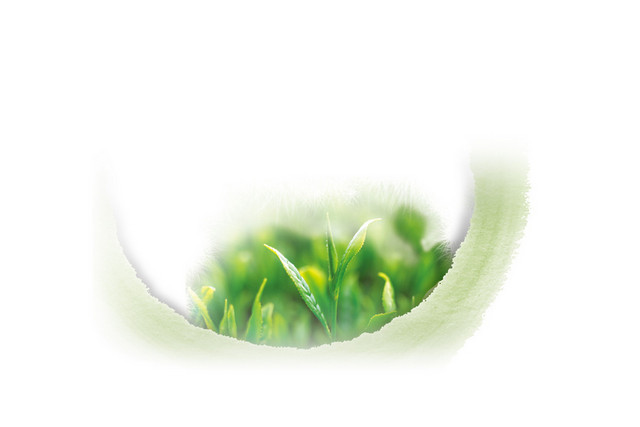 茶 茶文化小清新茶叶清明节元素PSD素材