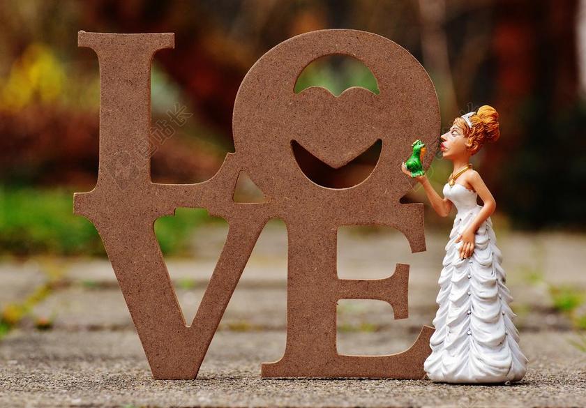 新娘 亲吻青蛙 爱情 滑稽 可爱 德卡 情人节 乐趣 爱