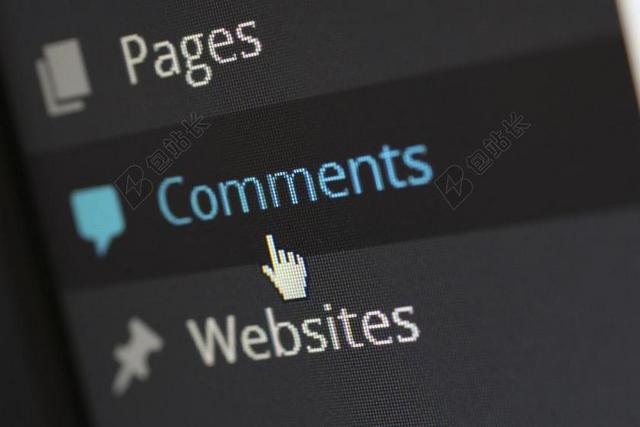 CMS WORDPRESS 内容管理系统 社论 内容 评论 网站