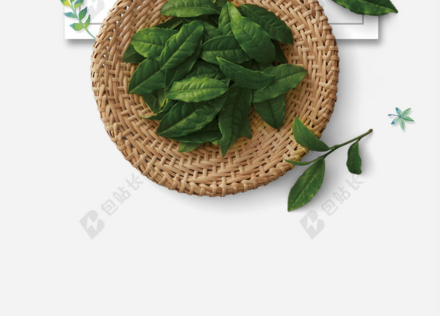白框帽子绿茶新茶春茶上市海报背景