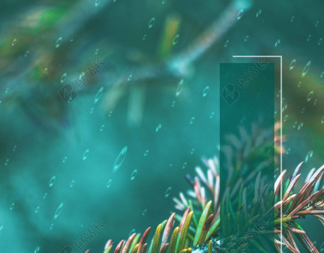 下雨树枝谷雨二十四节气海报背景