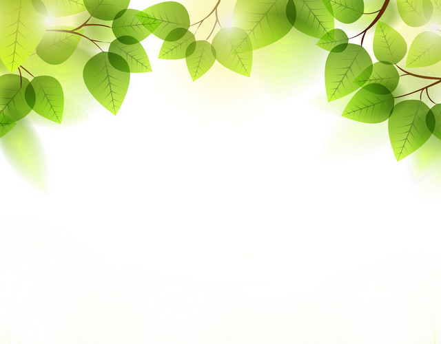 树木树叶保护环境环保绿色森林植树节矢量图