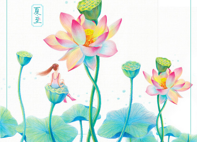夏天夏至莲花莲子节气PNG素材